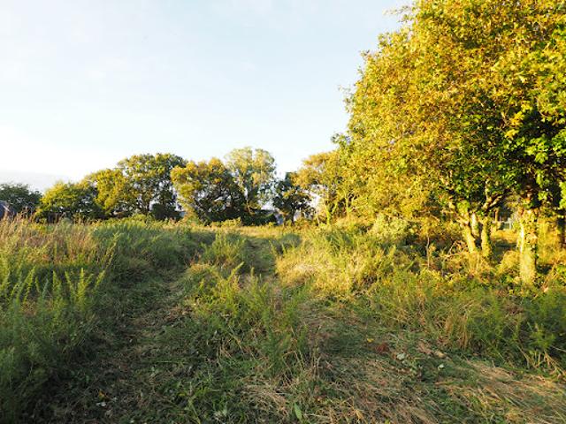 Terrain vente à Quimper, Bretagne