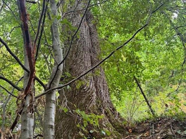 Terrain vente à Vouziers, La Croix-aux-bois