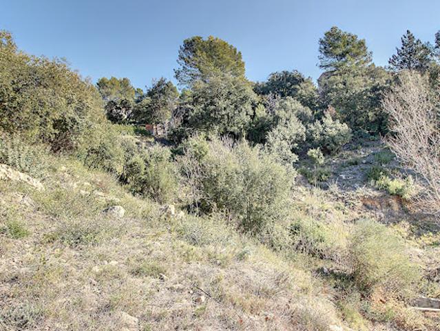 Terrain vente à Arrondissement de Draguignan, Taradeau