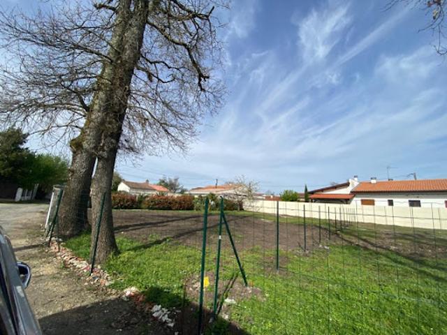 Terrain vente à Cissac-Médoc, Gironde