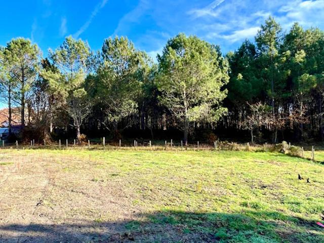 Terrain vente à Mont-de-Marsan, Pontenx-les-forges