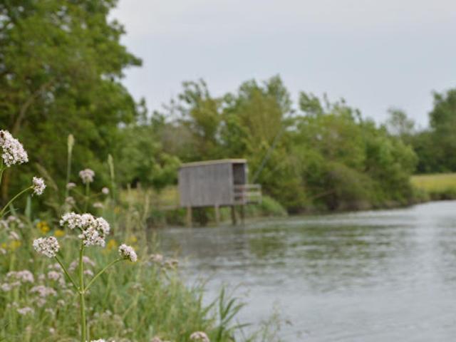 Terrain vente à Saint-Jean-d'Angély, Le Mung