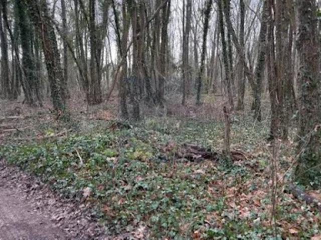 Terrain vente à Fontainebleau, Bois-le-roi