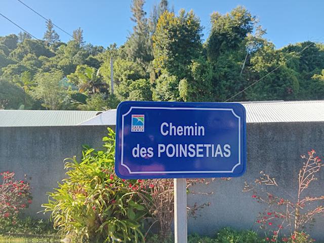 Terrain vente à La Réunion