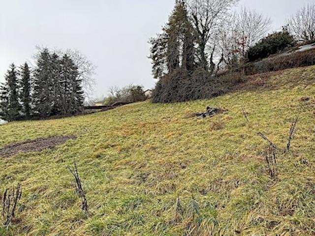 Terrain vente à Nantua, Châtillon-en-michaille