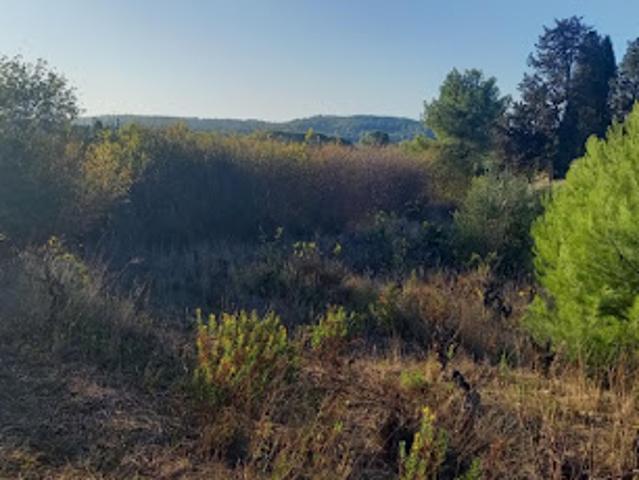 Terrain vente à Argens-Minervois, Aude