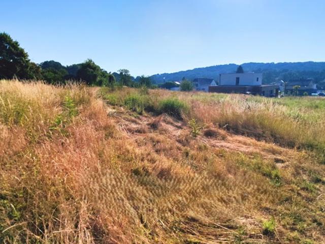 Terrain vente à Hagenthal-Le-Bas, Hagenthal-le-Haut