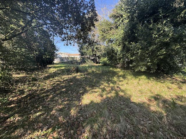 Terrain vente à Rochefort, Meschers-sur-gironde