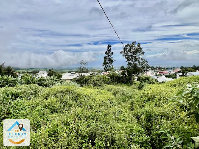 Terrain vente à La Réunion