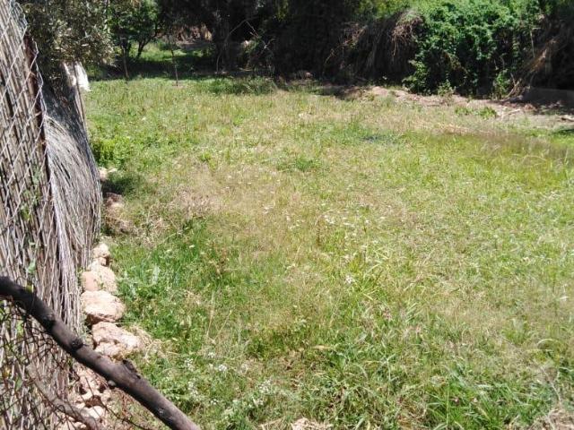 Terrain vente à Al Haouz, L'Oriental