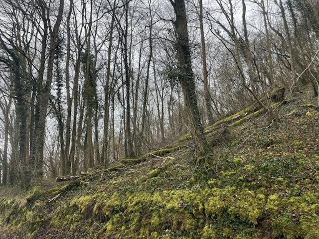 Terrain vente à Soissons, Vailly-sur-aisne