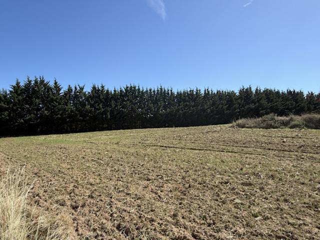 Terrain vente à Tournon-sur-Rhône, Félines