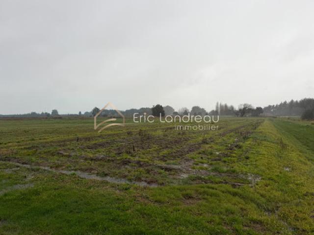 Terrain vente à Les Sables-d'Olonne, Château-d'olonne