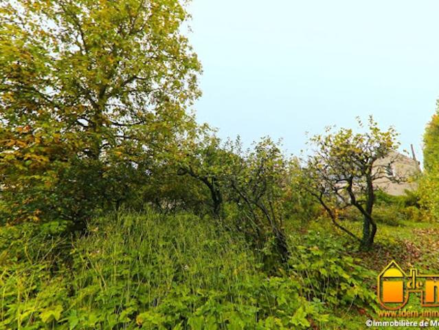 Terrain vente à Étampes, Méréville