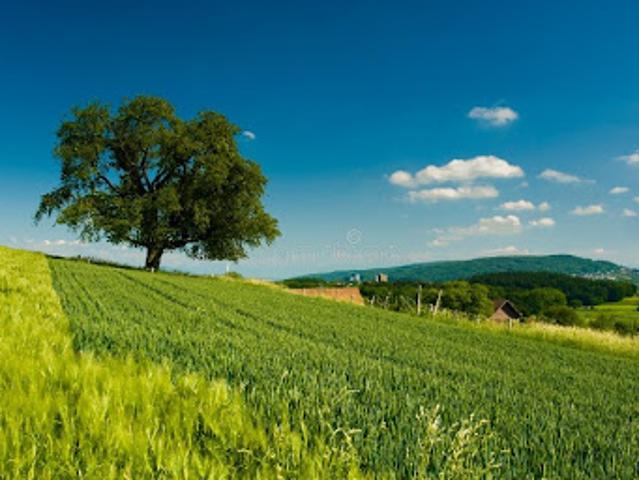 Terrain vente à Chinon, Mazières-de-touraine