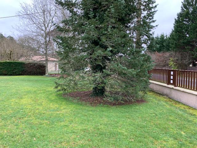 Terrain vente à Pissos, Landes