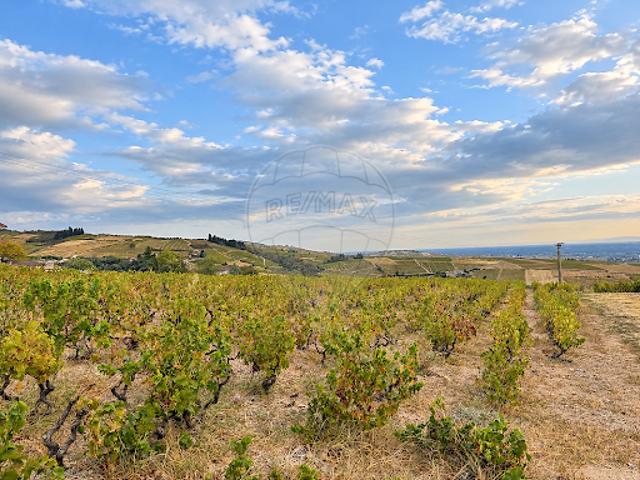 Terrain vente à Belleville, Belleville-en-Beaujolais