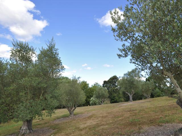 Terrain vente à Dax, Saint-martin-de-hinx