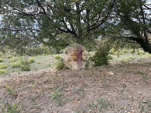Terrain vente à Arrondissement de Draguignan, Montauroux