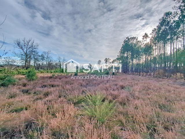 Terrain vente à Arcachon, Le Barp