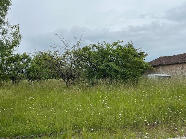 Terrain vente à France métropolitaine, Boutiers-saint-trojan