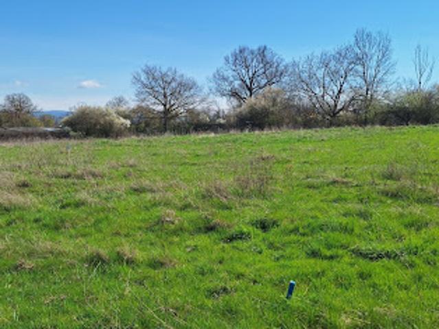 Terrain vente à Mizérieux, Loire