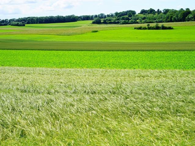 Terrain vente à Saint-Germain-en-Laye, Achères