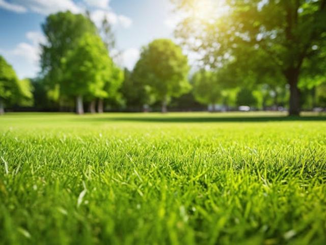 Terrain vente à La Grande Noue, Bignicourt-sur-Marne