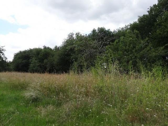 Terrain vente à France métropolitaine, Cubnezais