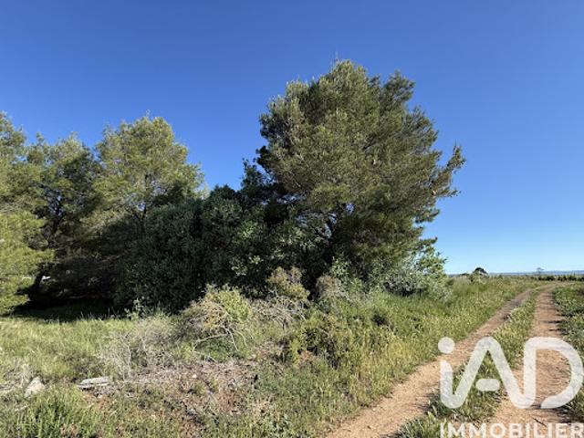 Terrain vente à Béziers, Pinet