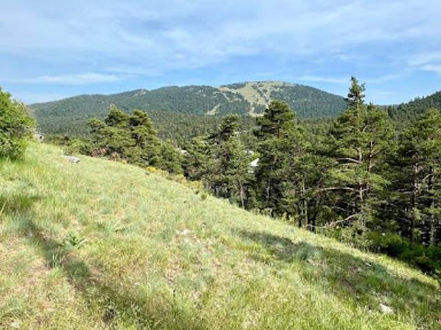 Terrain vente à Grasse, Caille
