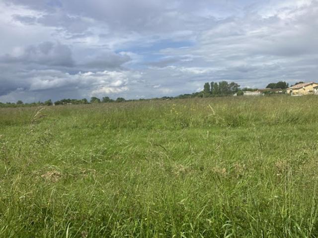 Terrain vente à La Bartère, Casteljaloux