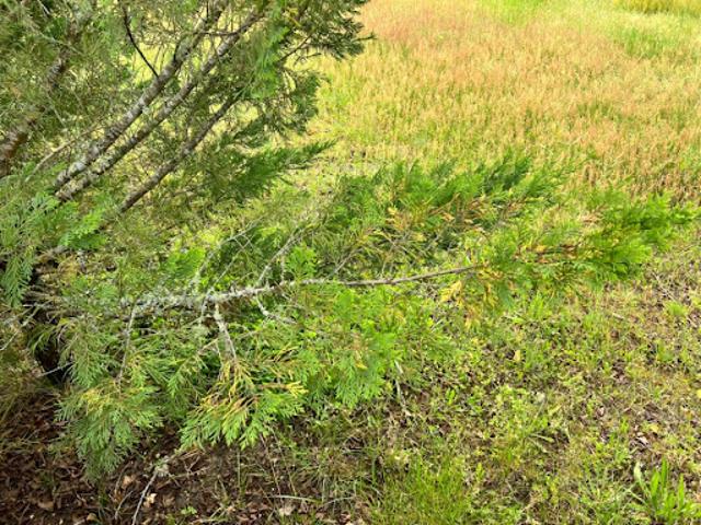 Terrain vente à France métropolitaine, La Teste-de-buch