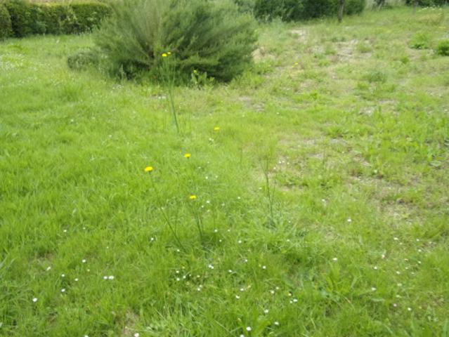 Terrain vente à Niort, Granzay-gript