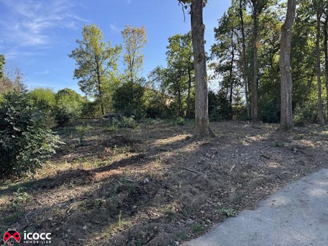 Terrain vente à Fontenay-le-Comte, Mareuil-sur-lay-dissais