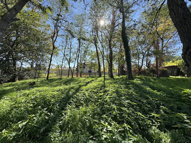 Terrain vente à France métropolitaine, Saint-mariens