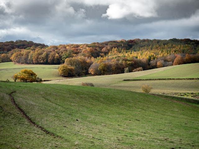 Terrain vente à Montbéliard, Sainte-suzanne