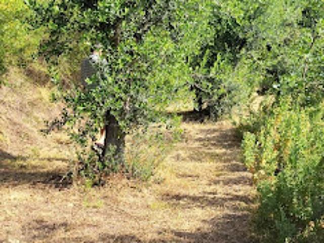 Terrain vente à France métropolitaine, Contes