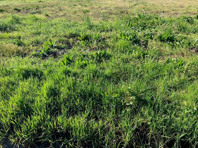 Terrain vente à Saintes, Burie