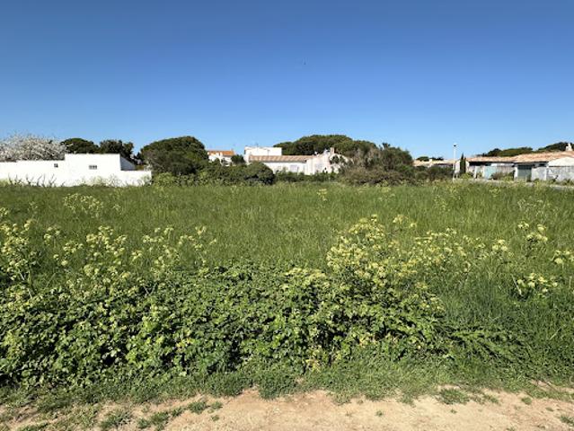 Terrain vente à La Rochelle, Loix