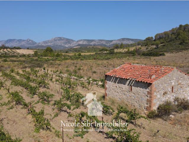 Terrain vente à Perpignan, Tautavel