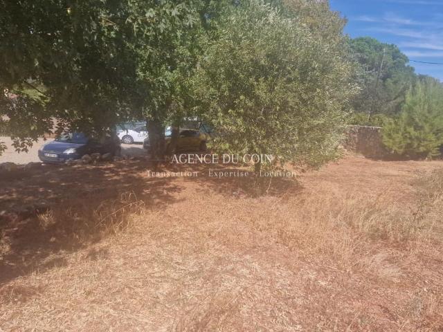 Terrain vente à Arrondissement de Draguignan, Vidauban
