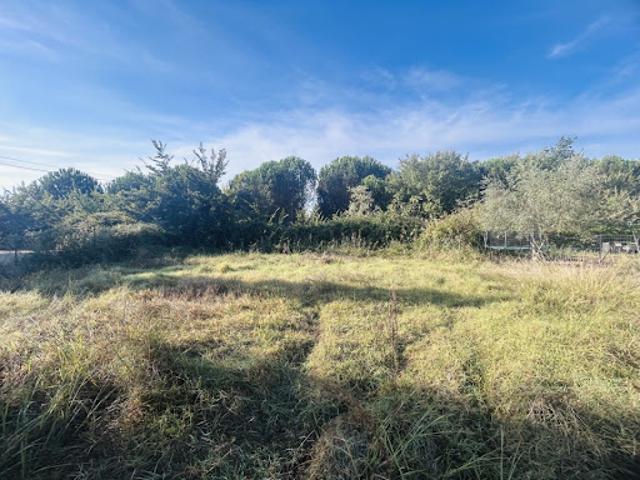 Terrain vente à Puget-sur-Argens, Var