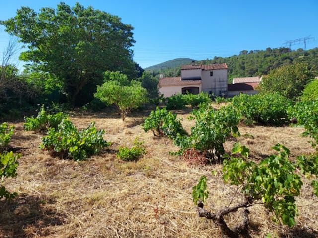 Terrain vente à Brignoles, Sainte-anastasie-sur-issole