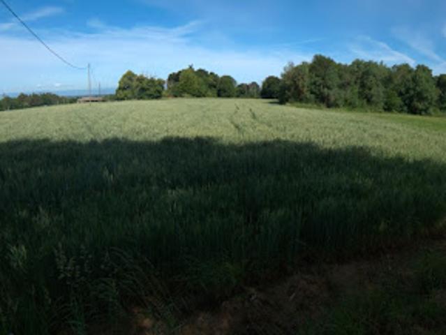 Terrain vente à Vienne, Roybon