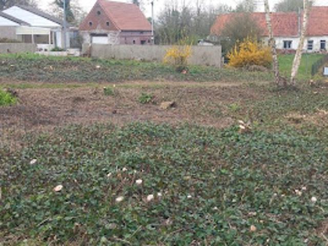 Terrain vente à Arras, Wanquetin