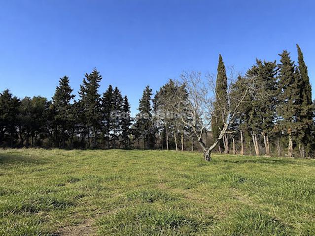 Terrain vente à Carpentras, Aubignan