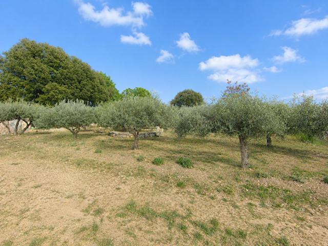 Terrain vente à Brignoles, Flassans-sur-issole