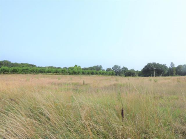 Terrain vente à Bergerac, Saint-aubin-de-cadelech