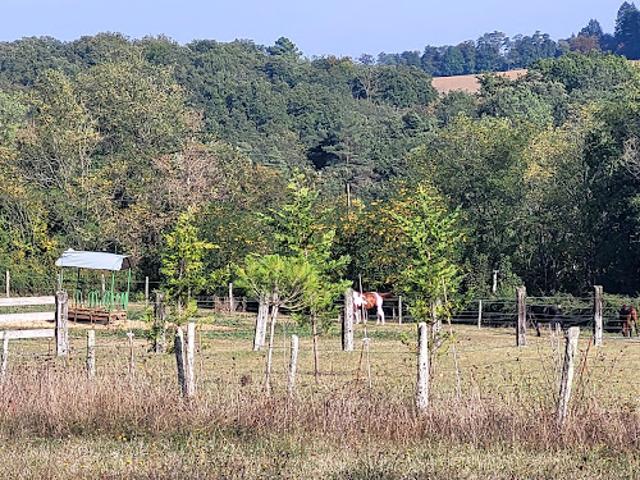 Terrain vente à France métropolitaine, Saint-maime-de-péreyrol